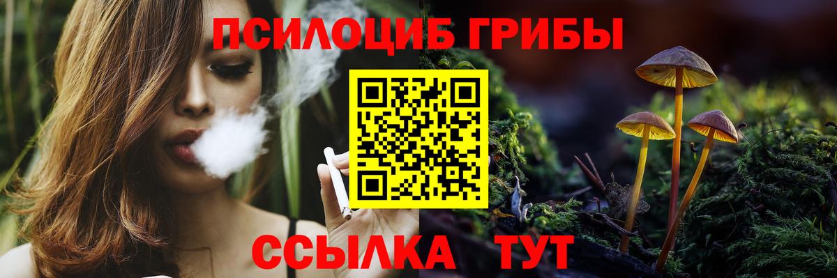 Балаково  купить наркотик  Вход с VPN  Псилоцибиновые грибы ЛСД 